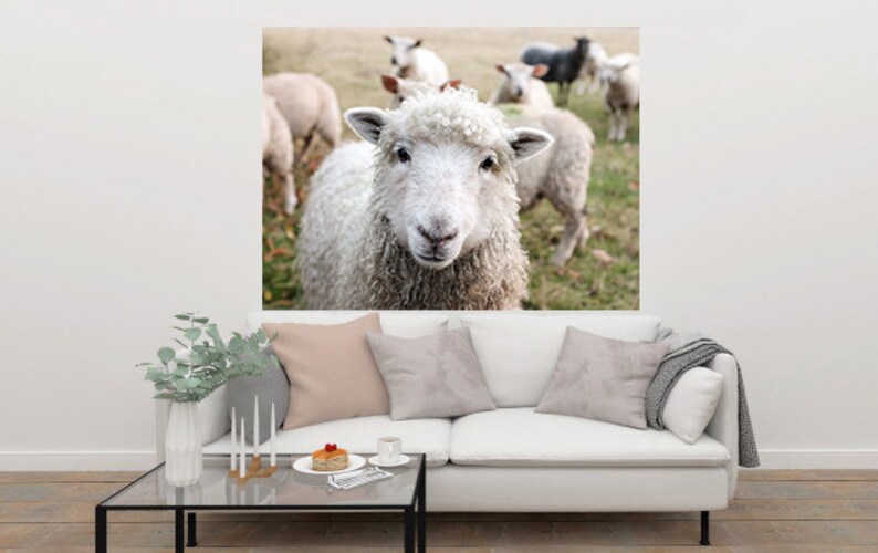 Sheep Nursery Picture Lamb Picture Nursery Art Farm Etsy