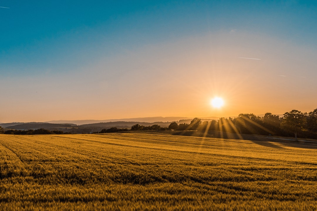 Southern Sunset Southern Sunset Landscape Photography Print: Farmhouse Wall Art ...