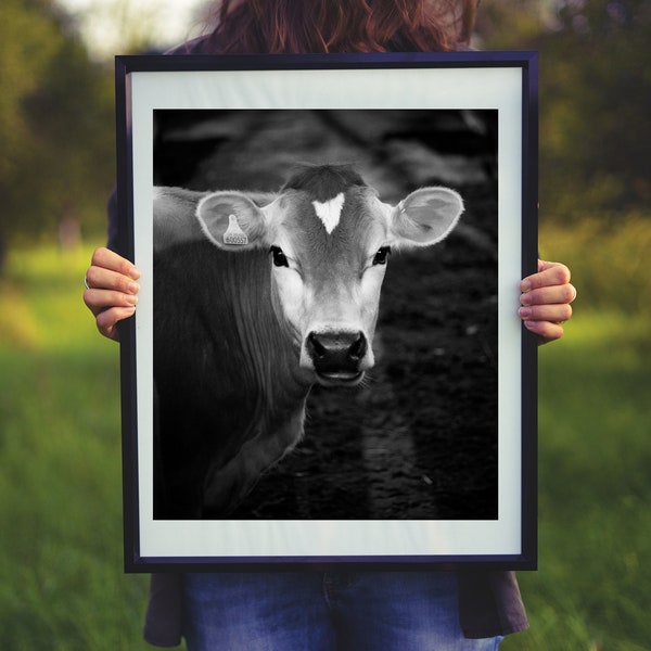 Baby Calves Picture, Animal Crossing, Highland Cow, Nursery Art, Country Photo, Printable Art, Baby Art, Cow Gifts, Cow Print, Farmhouse