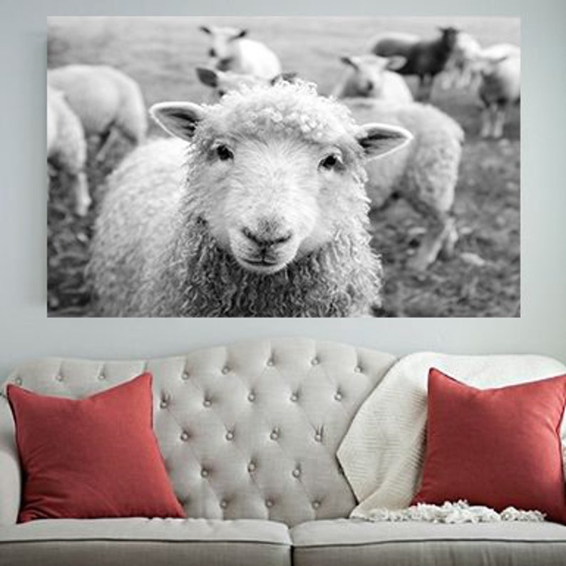 Sheep Art Sheep Sheep Wall Art Sheep Print Fixer Upper Etsy