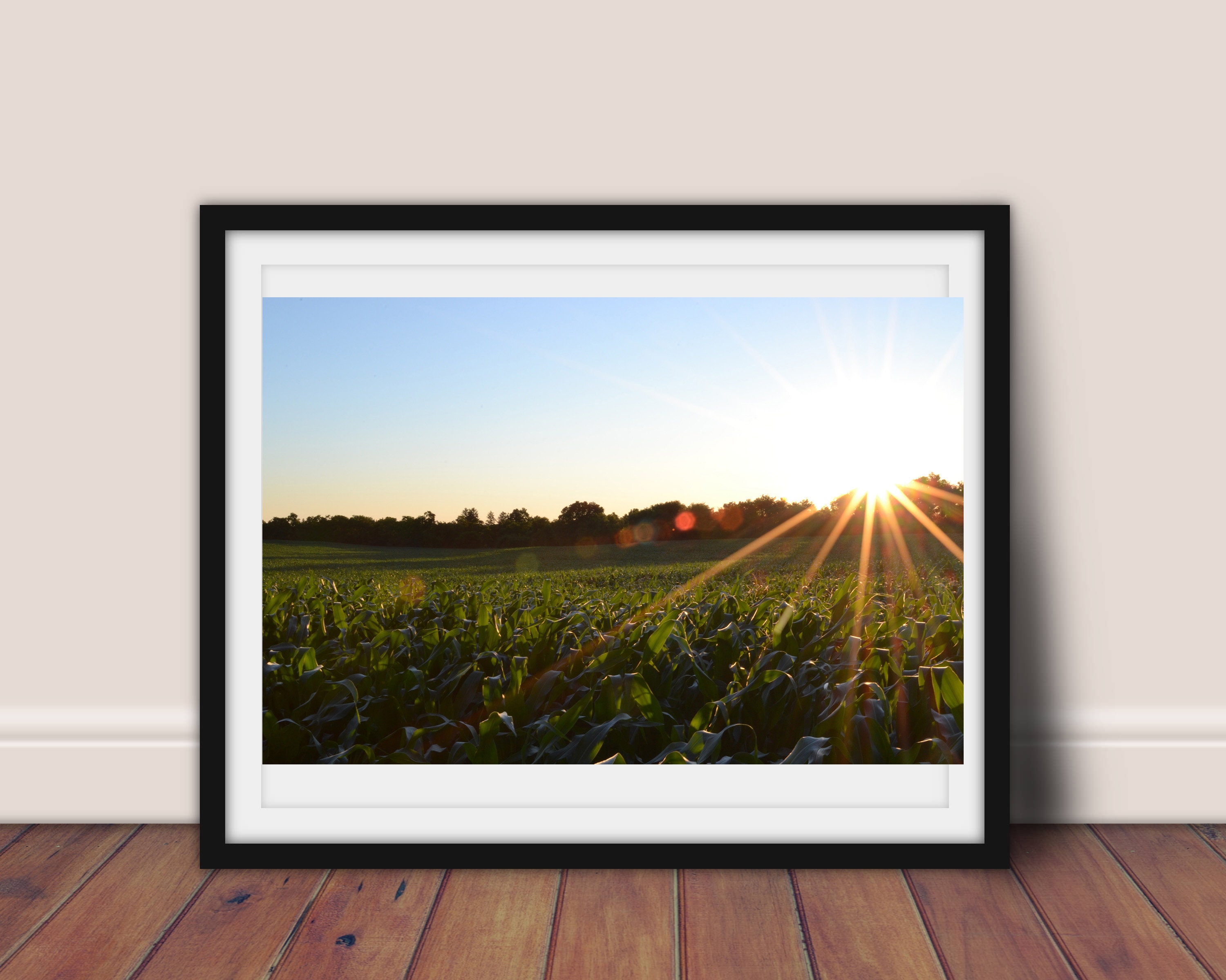 Southern Sunset Southern Sunset Landscape Photography: Farmhouse Wall Art (digital ...