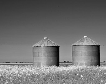 May include: Two tall, gray metal grain silos stand in a field of white wildflowers. The silos have a rounded top and a corrugated metal exterior.