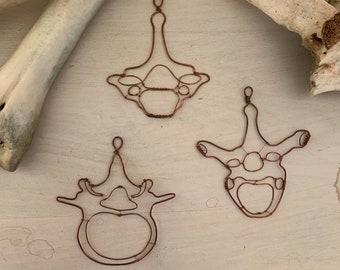 Alambre hecho a mano Vértebras Cobre Lumbar Torácico Cervical Estudiante de Medicina Regalo Cuerpo Humano Anatomía de la Pared Decoración De metal Columna vertebral Esqueleto Arte óseo
