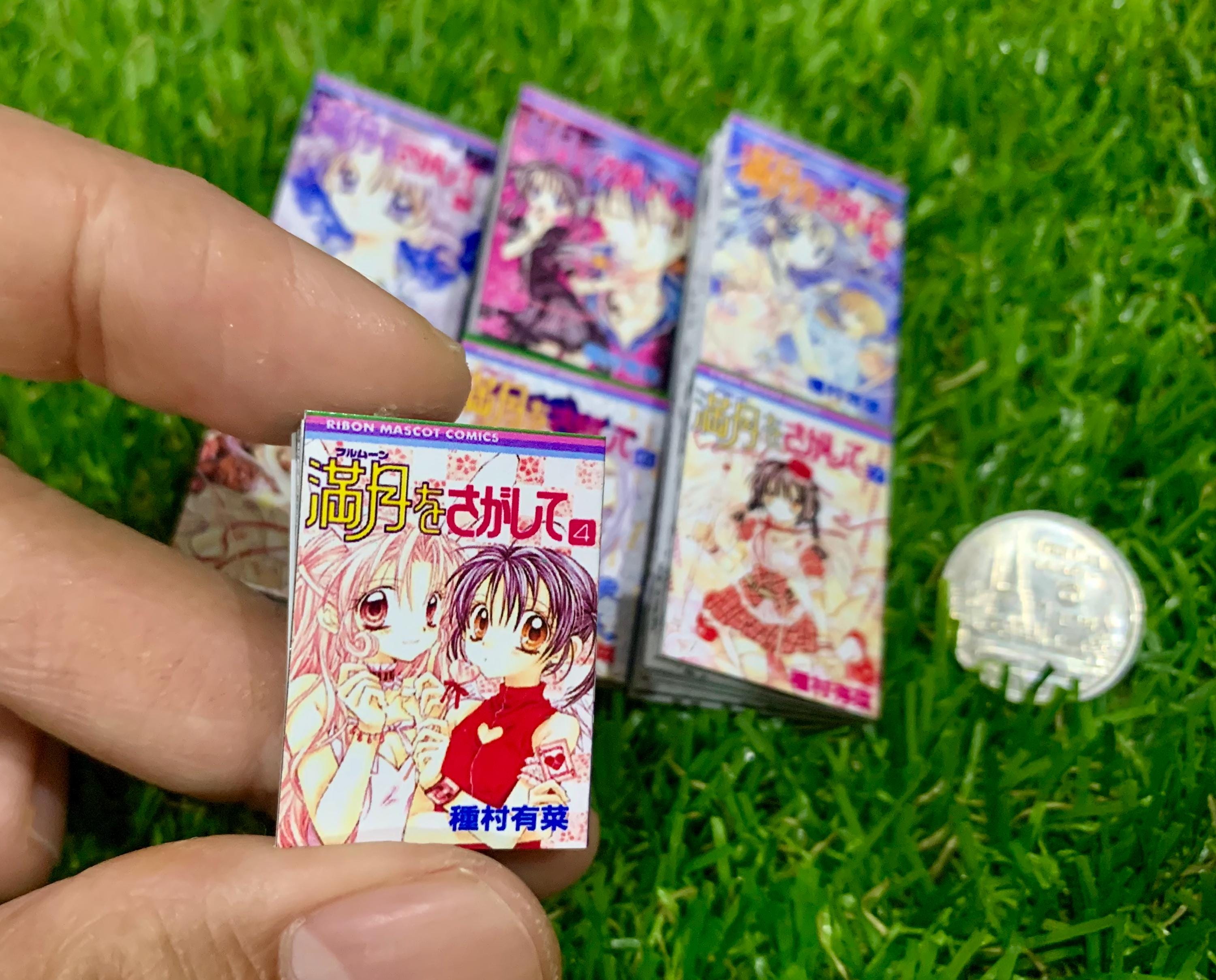 Nostalgic Manga Haul: Full Moon o Sagashite, image size:3000x2419