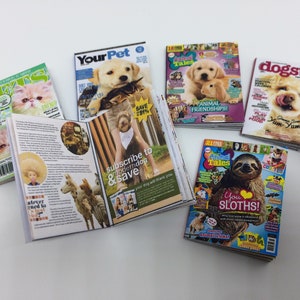 BJD Miniature : Pets magazine for doll