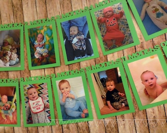 FIrst Birthday Monthly Picture Display Photo Banner - Basic