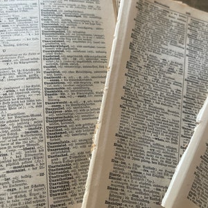 20-1906 Vintage German/English Dictionary Book Pages