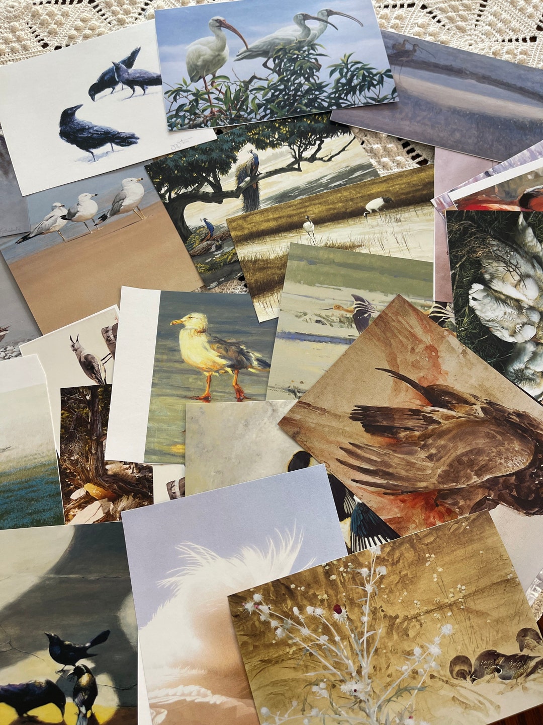 25 Random Bird Prints Clipped From Art Bird Books. - Etsy