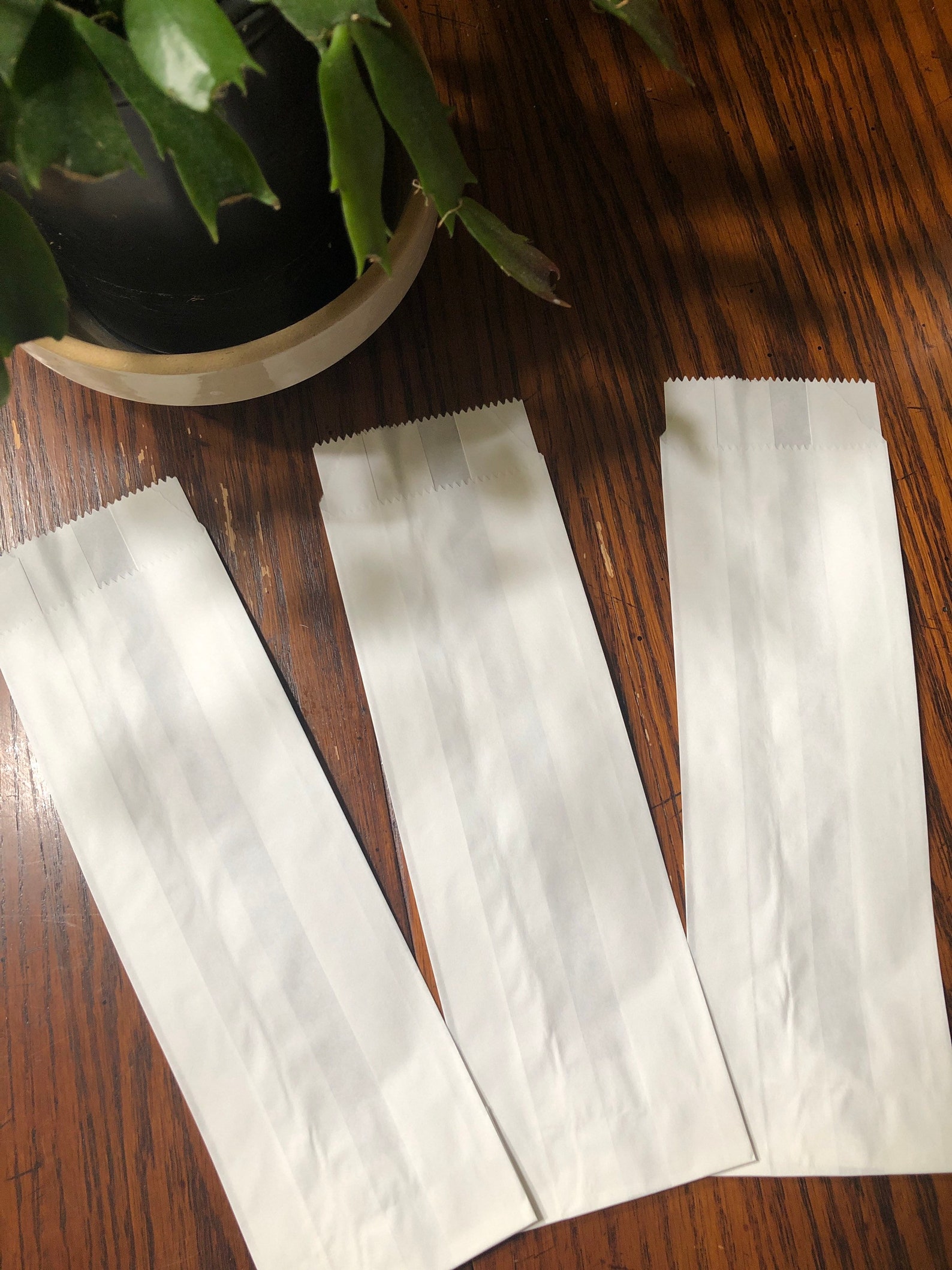 10 Tall Thin Glassine Bags Etsy