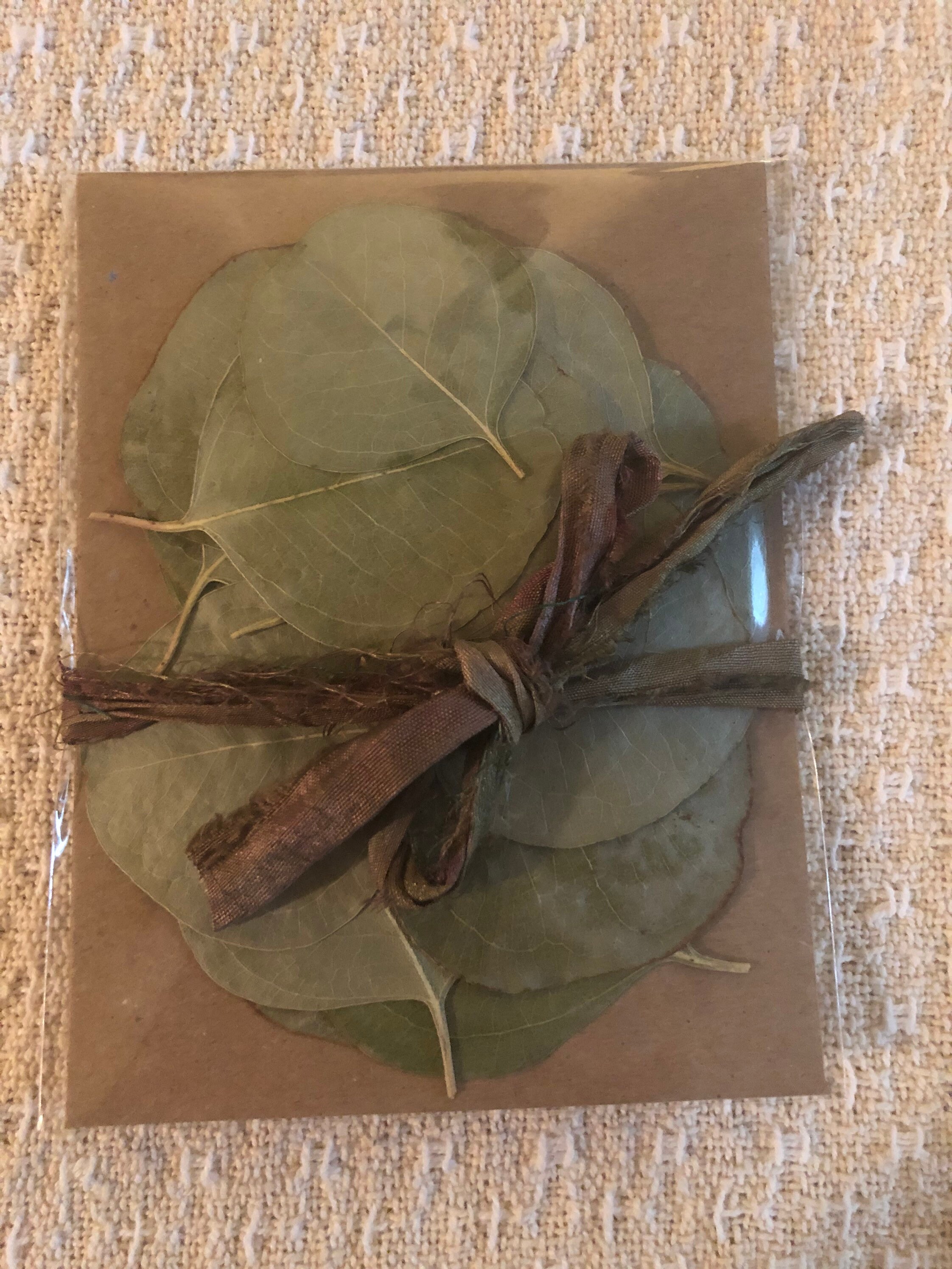 20 pressed and dried eucalyptus leaves Etsy