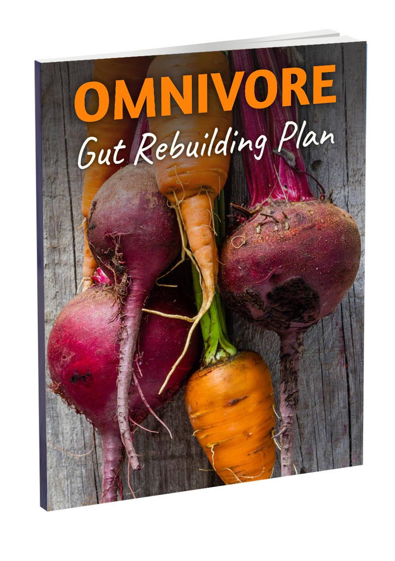 3-Day Omnivore Gut Rebuilding Plan, Nutrition Plan, Food Guide, Recipes, eBook, Cookbook, Detox image 1