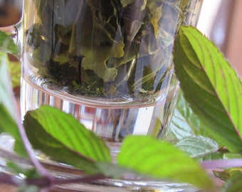 Moroccan Mint Tea, Green Tea, Mint Infusion, Herbal Tea, Healthy Boost, Antioxidants, Loose Leaf Tea, Relax and Unwind, InfiniTeas