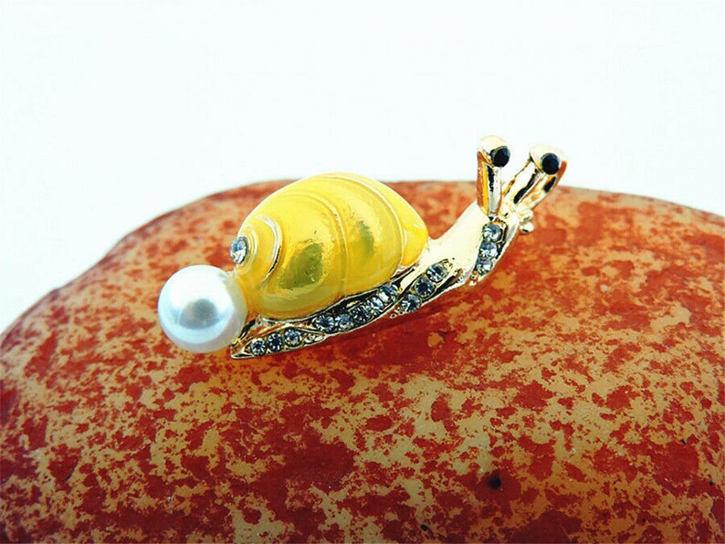 FREE SHIPPING 4cm x 1.5cm Gold Shell 1.5 x .5 Snail Brooch Gold Base Gift Box Included Black /& White Rhinestone