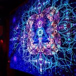 Psychedelic Tapestry Uv Backdrop Yoga Meditation Sacred Acid Glow Uv Dmt Mushroom Psytrip Trippie Hippie Room Decor Psyshop Blacklight Lsd