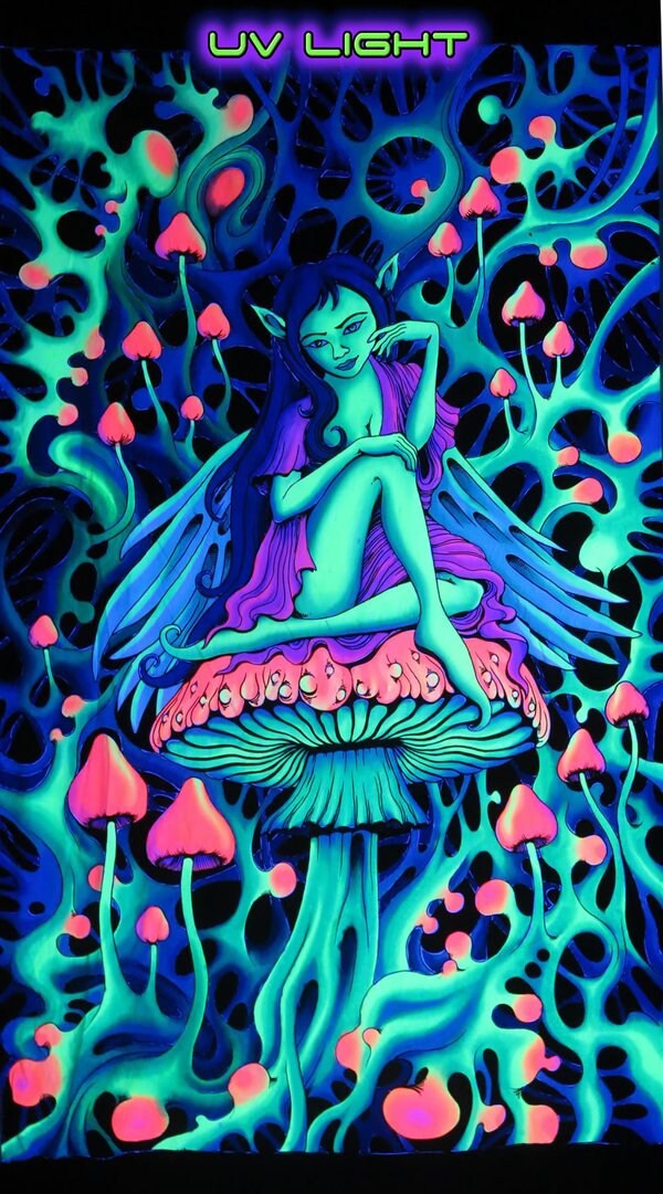 il_fullxfull.2010712496_mebg.jpg