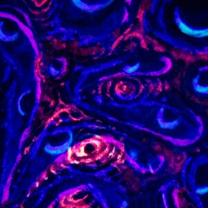 May include: Abstract painting with swirling patterns in shades of blue, purple, and pink. The painting has a vibrant and energetic feel.
