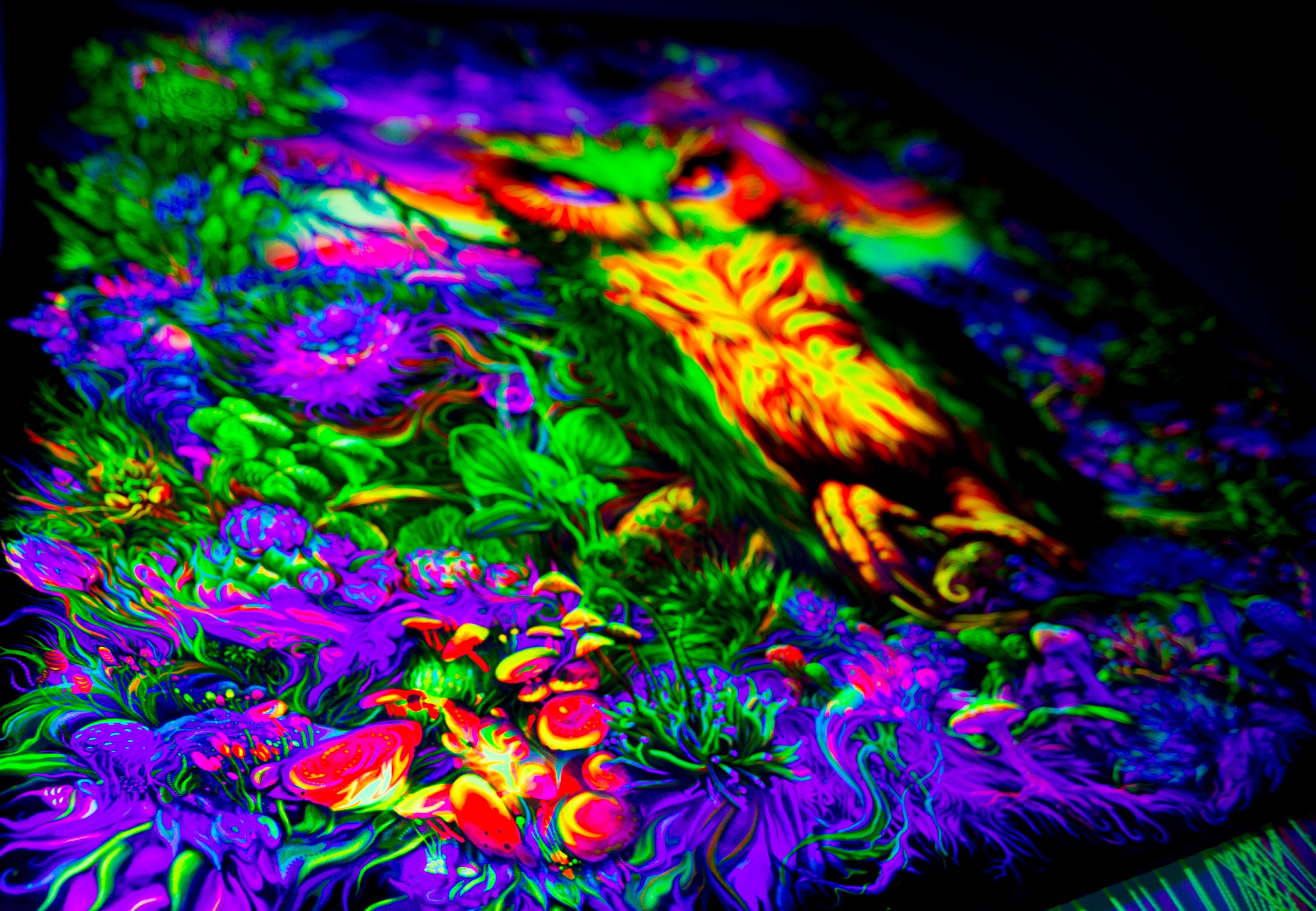 Tapisserie Murale 230x180 Cm Motif 3 Hiboux Phosphorescent - Réagit à La Lumière UV/Noire - Décoration Psychédélique