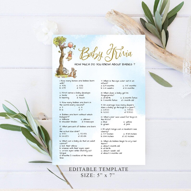 Winnie the Pooh Baby Shower Game Baby Trivia Classic Etsy