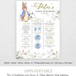 Peter Rabbit EDITABLE Birthday Milestone Sign, Printable Birthday ...