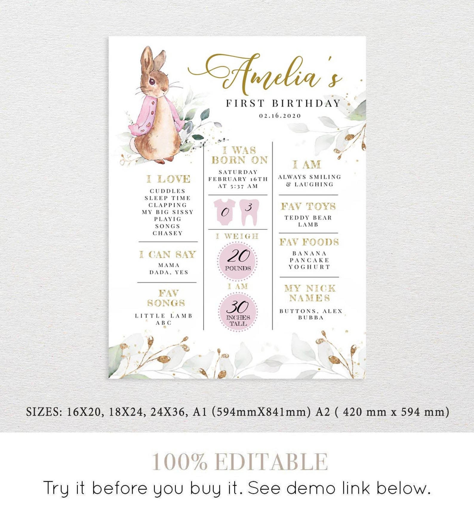 Peter Rabbit EDITABLE Birthday Milestone Sign, Printable Birthday ...