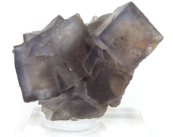 Puede incluir: Un grupo de cristales cúbicos de fluorita en tonos morados y grises. El espécimen mineral se exhibe sobre un soporte acrílico transparente sobre un fondo blanco. Los cristales tienen una estructura geométrica y en bloques.