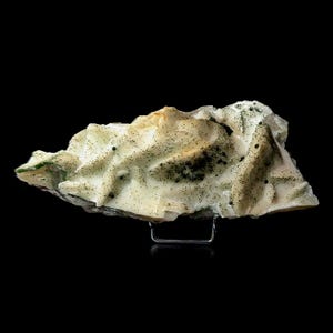 May include: A cream-colored mineral specimen with dark green and black speckling. The rough, textured surface is mounted on a small metal stand against a black background. The mineral has a layered appearance.