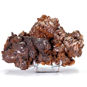 Puede incluir: Un grupo de formaciones minerales marrones y rojizas con estructuras cristalinas. El mineral se exhibe sobre un soporte metálico plateado sobre un fondo blanco. El mineral tiene una superficie rugosa y texturizada con áreas blancas brillantes.