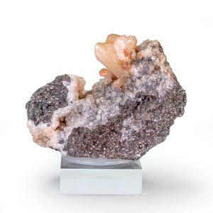 May include: A natural mineral specimen featuring a cluster of peach-colored crystals atop a matrix of gray and brown rock. The mineral sits on a clear, rectangular display stand, showcasing its intricate details and textures against a white background.