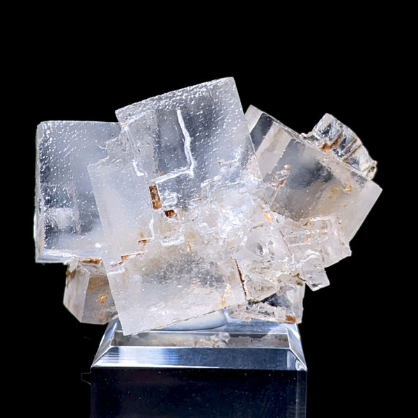 Halite, Wieliczka, Pologne, 4,2 cm