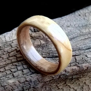 Birch Walnut Bentwood Ring