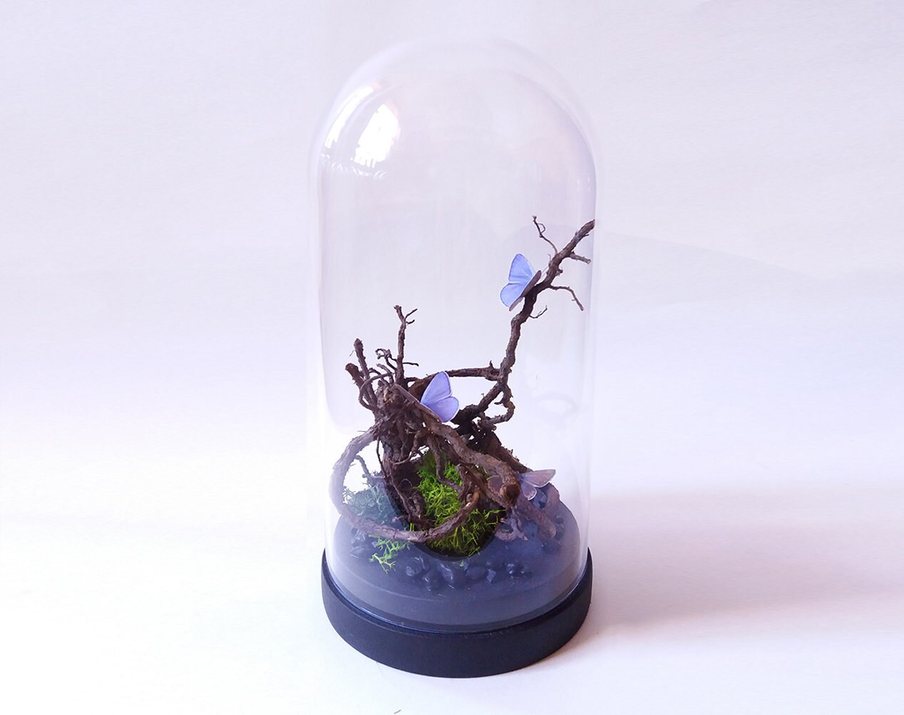 Glass Dome With Fake Butterflies | Small