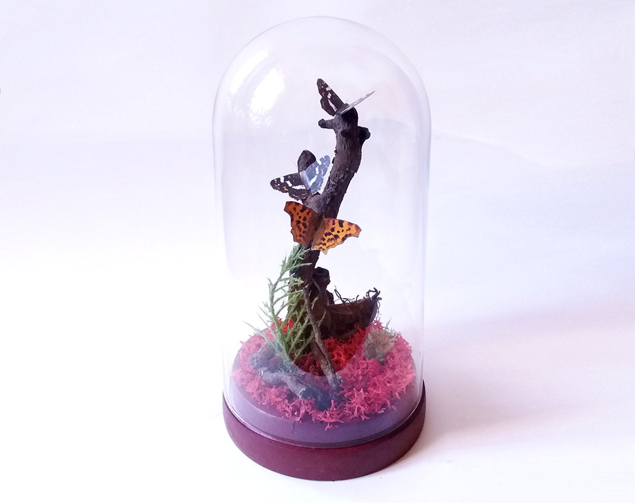 Glass Dome With Fake Butterflies | Small