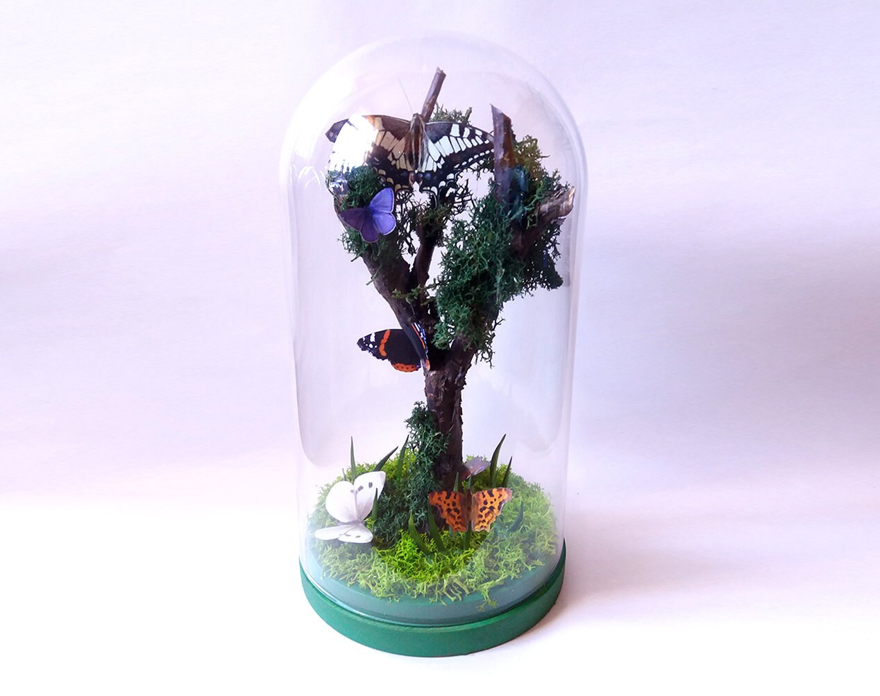 Glass Dome With Fake Butterflies | Large