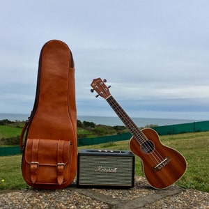 Distinctive and luxurious custom made Ukulele case Your music is unique, your case too. image 2