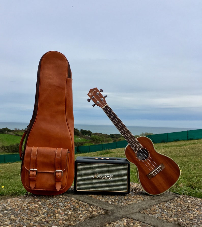 Distinctive and luxurious custom made Ukulele case Your music is unique, your case too. image 2