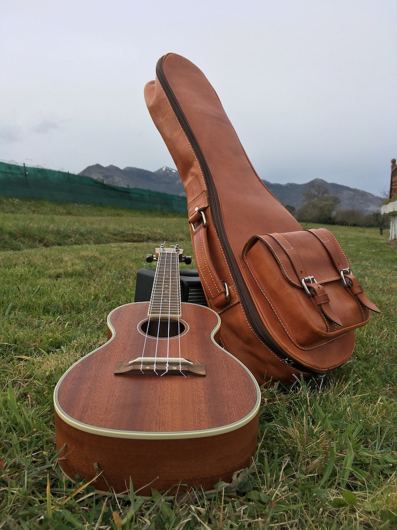 Distinctive and luxurious custom made Ukulele case Your music is unique, your case too. image 4