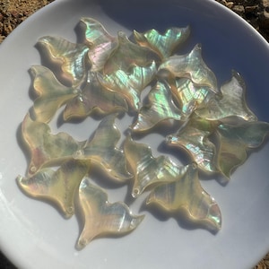 25x20mm Natural calibrated mother of pear mop shell Horn pendant bead 10 pcs
