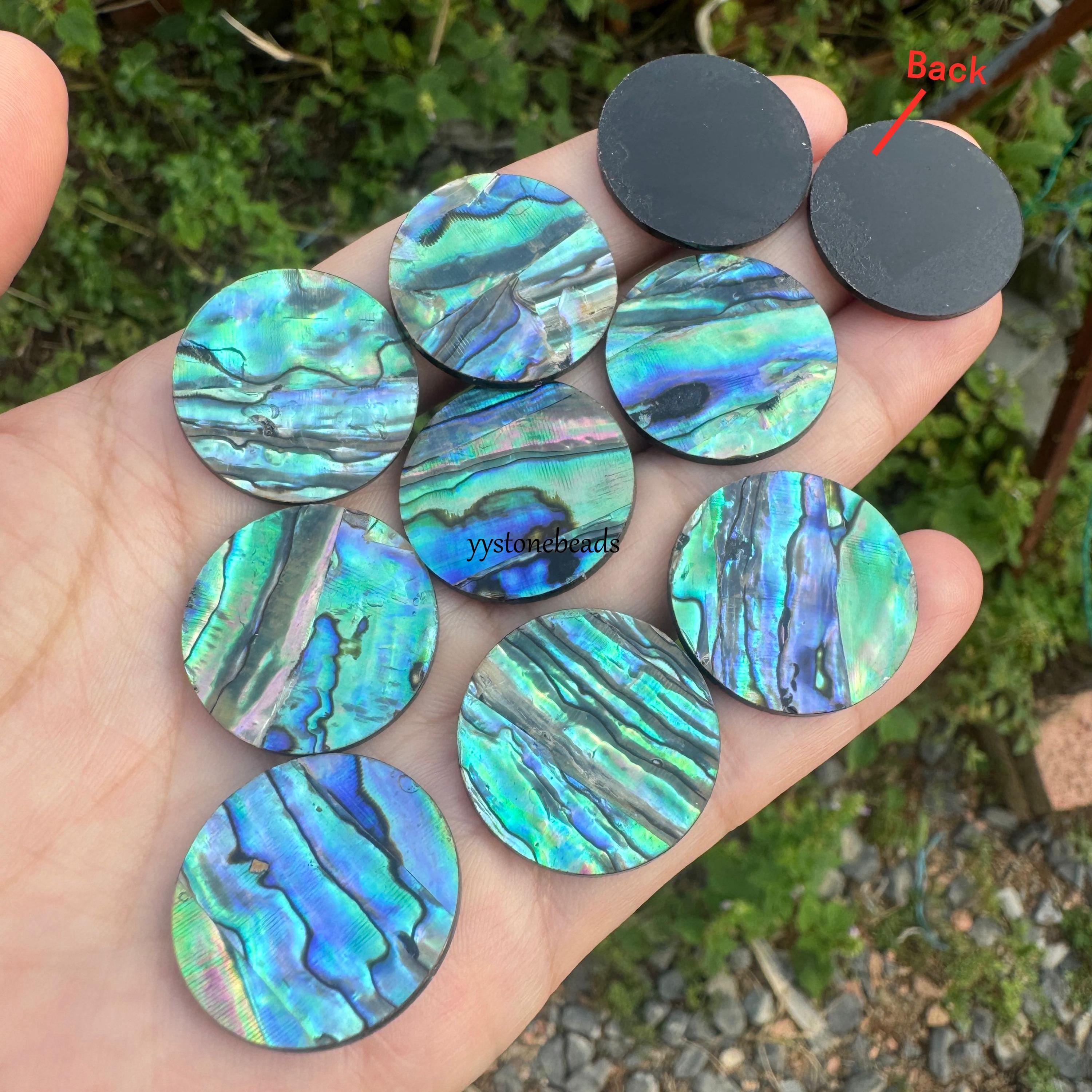 10pcs Natural Abalone Shell Cabochons: 24mm Round Paua Shell Flat ...