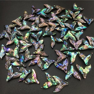20x20mm Natural Calibrated Abalone shell Horn pendant beads 10pcs