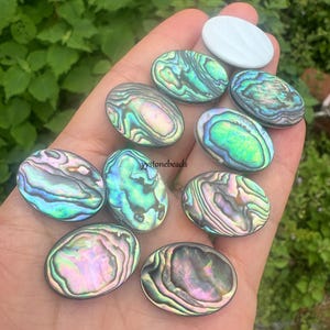 Natural Abalone Shell Cabochons: Flat Oval Gemstone for Jewelry Making (10pcs, 14x10-30x15mm