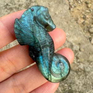 46mm Natural Carved Blue Labradorite Sea horse Gemstone Focal Animal Pendant Bead
