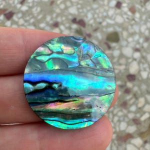 Puede incluir: Una concha de abulón redonda e iridiscente con un patrón de color azul, verde y morado.
