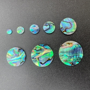 Op de afbeelding: Assortiment van iriserende abalone schelp cabochons in verschillende maten. De cabochons zijn rond en hebben een natuurlijk, organisch patroon van groen, blauw en bruin.