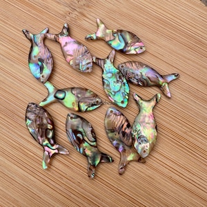 Op de afbeelding: Een verzameling van regenboogkleurige abalone-schelpvischarms in verschillende tinten groen, blauw en bruin. De vischarms zijn ongeveer 5 cm lang en hebben een gladde, gepolijste afwerking.