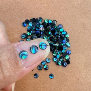 4mm Blue / Green calibrated abalone shell Round flatback gemstone CAB small cabochon wholesale