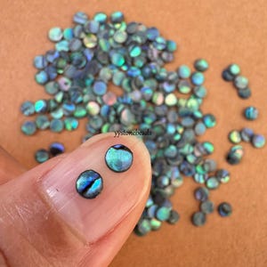 4mm Blue / Green calibrated abalone shell Round flatback gemstone CAB small cabochon wholesale