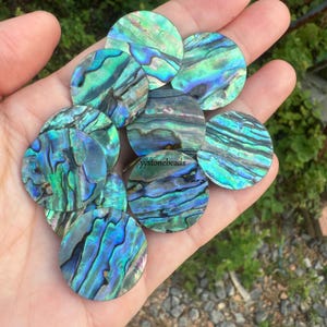 May include: A collection of eight round iridescent abalone shell cabochons with a blue, green, and purple colour scheme. The cabochons are arranged in a circular pattern.
