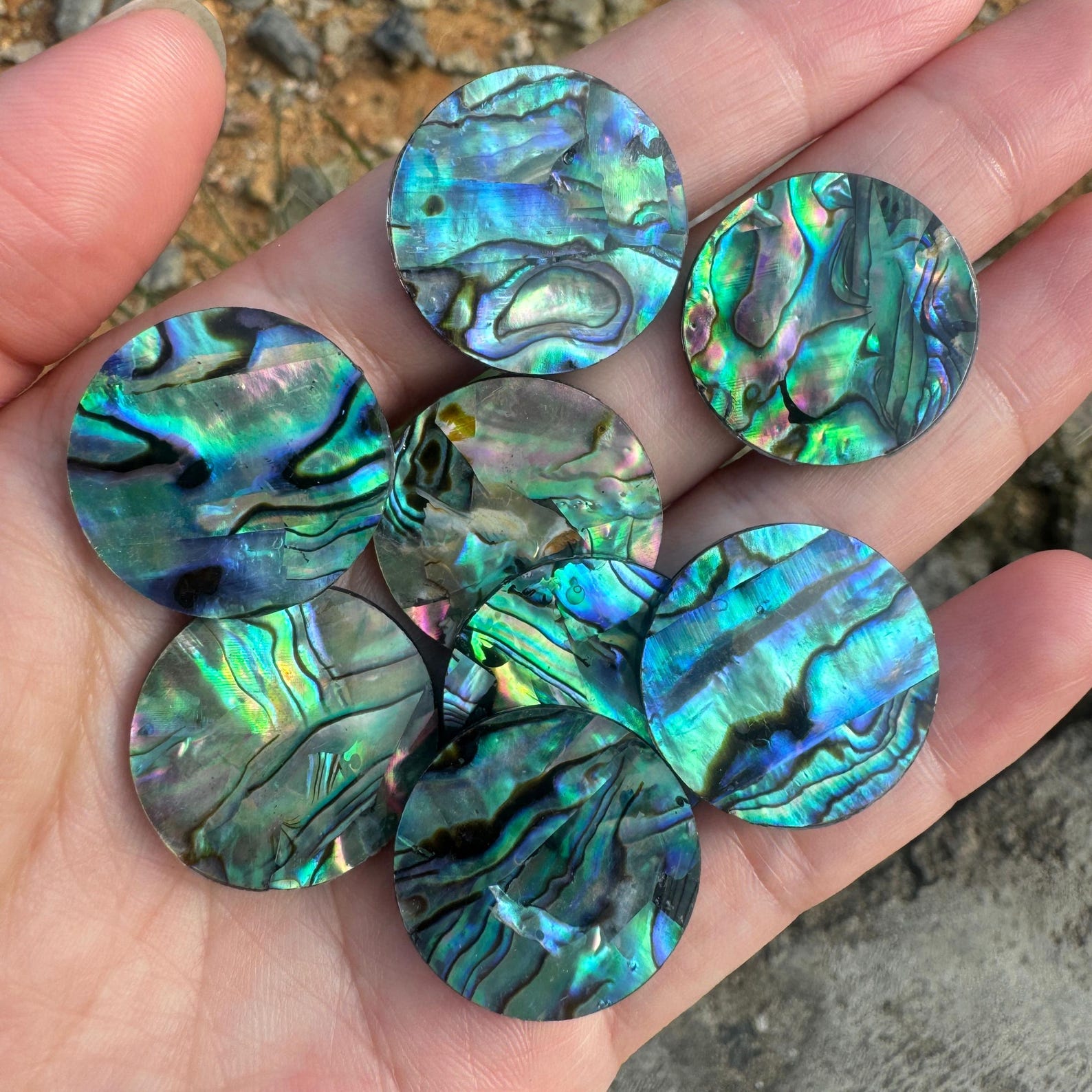 10pcs Natural Abalone Shell Cabochons: Blue Green Gemstone Jewelry ...