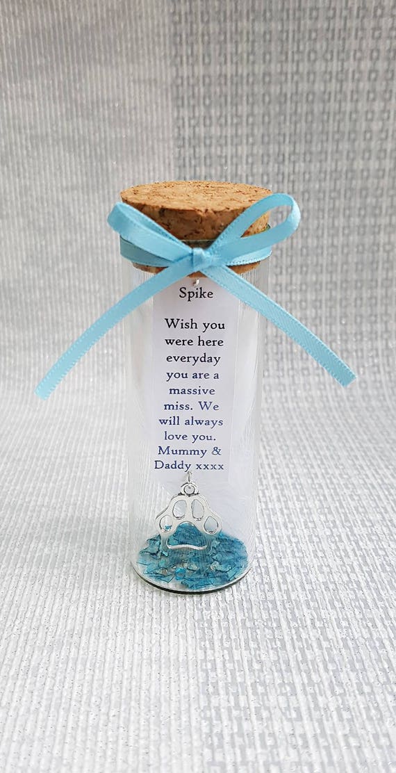Pet loss memorial bottle ash box memorial pet hair pet loss Etsy