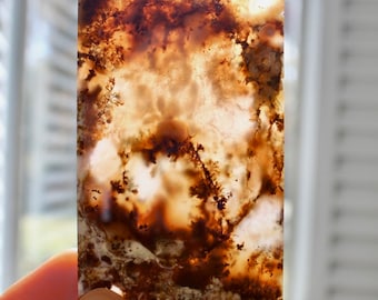 Natural Picture Scenic Dendritic Agate Slab